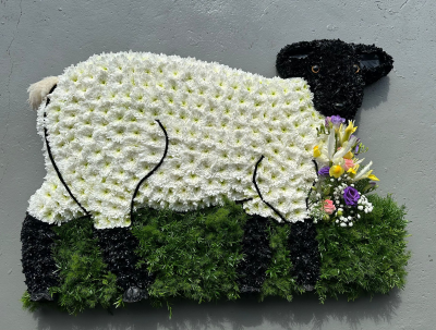 Sheep - 2D Funeral tribute in the shape and colours of a sheep